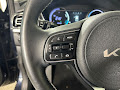 2022 Kia Niro EV EX